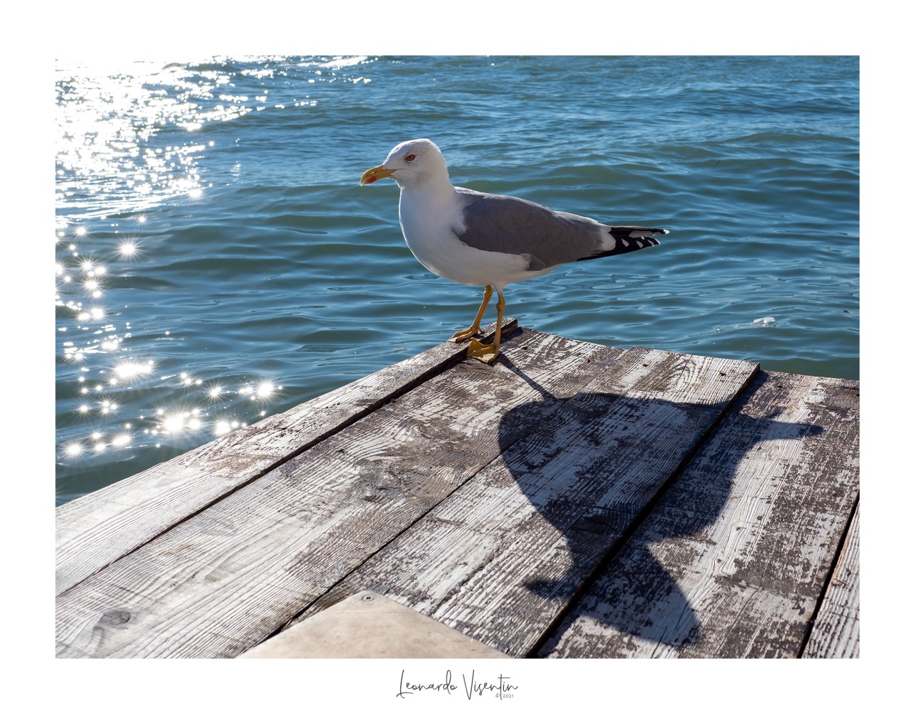 Venezia