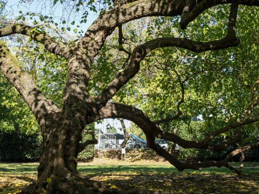 Parco Querini